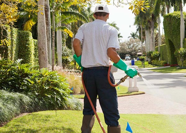 About Monroe NY Pest Control Pros